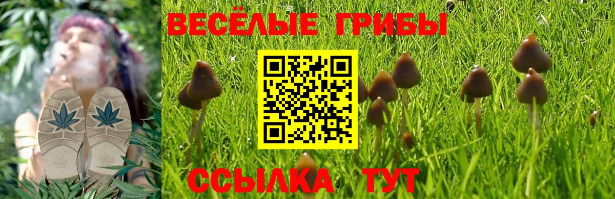 Красноуфимск  Псилоцибиновые грибы Psilocybine cubensis  Вход с VPN 